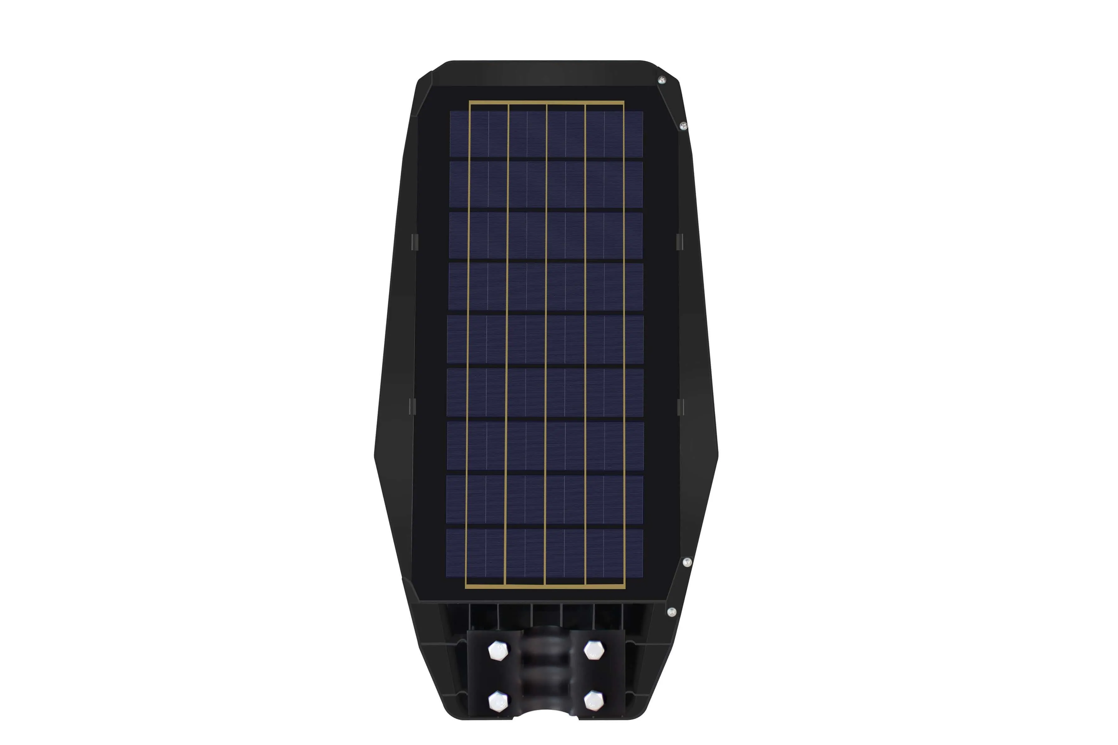 100W Solar Street Lamp By Intrepid Pioneer