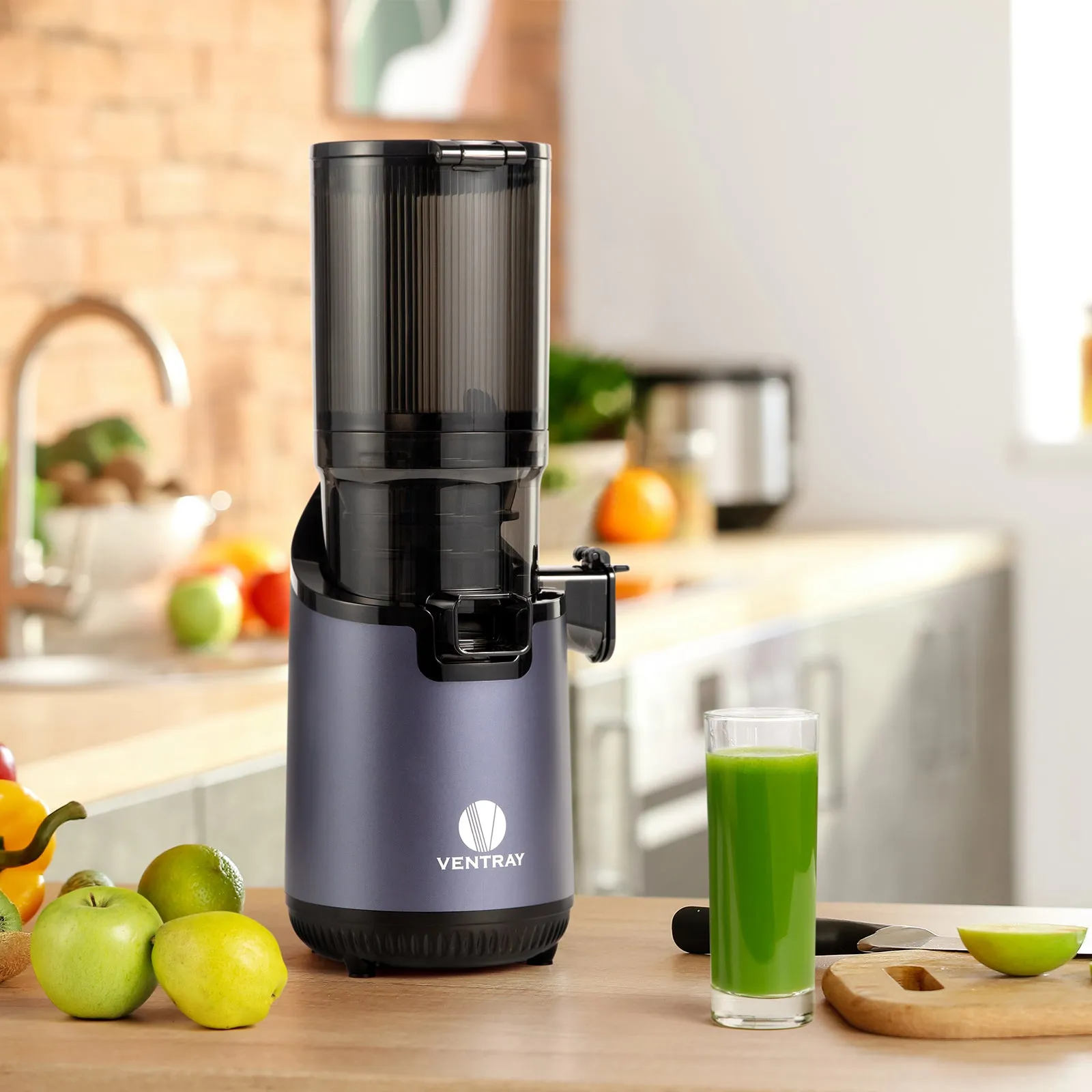 900 Slow Masticating Juicer