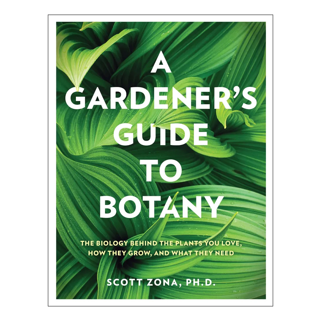 A Gardener's Guide to Botany