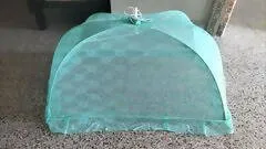 BABYHUG Bed With Mosquito Net And Pillows