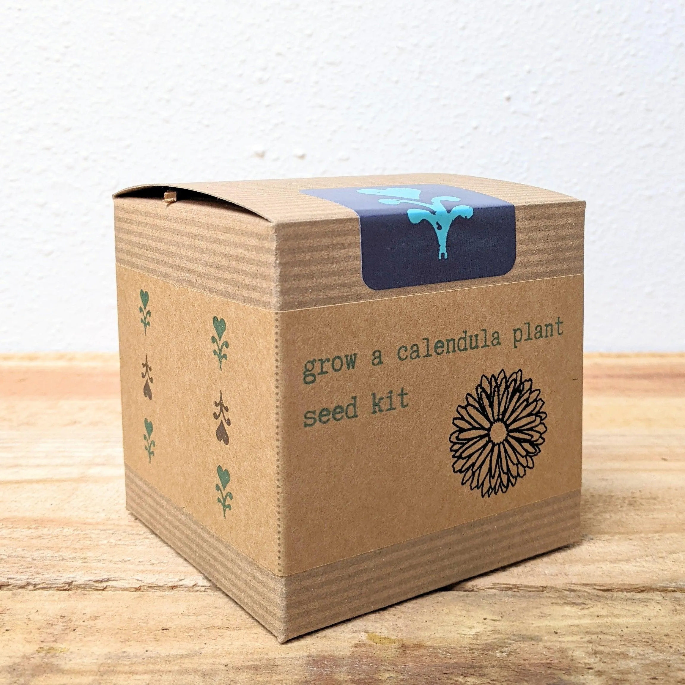 Calendula Beginner Grow Kit