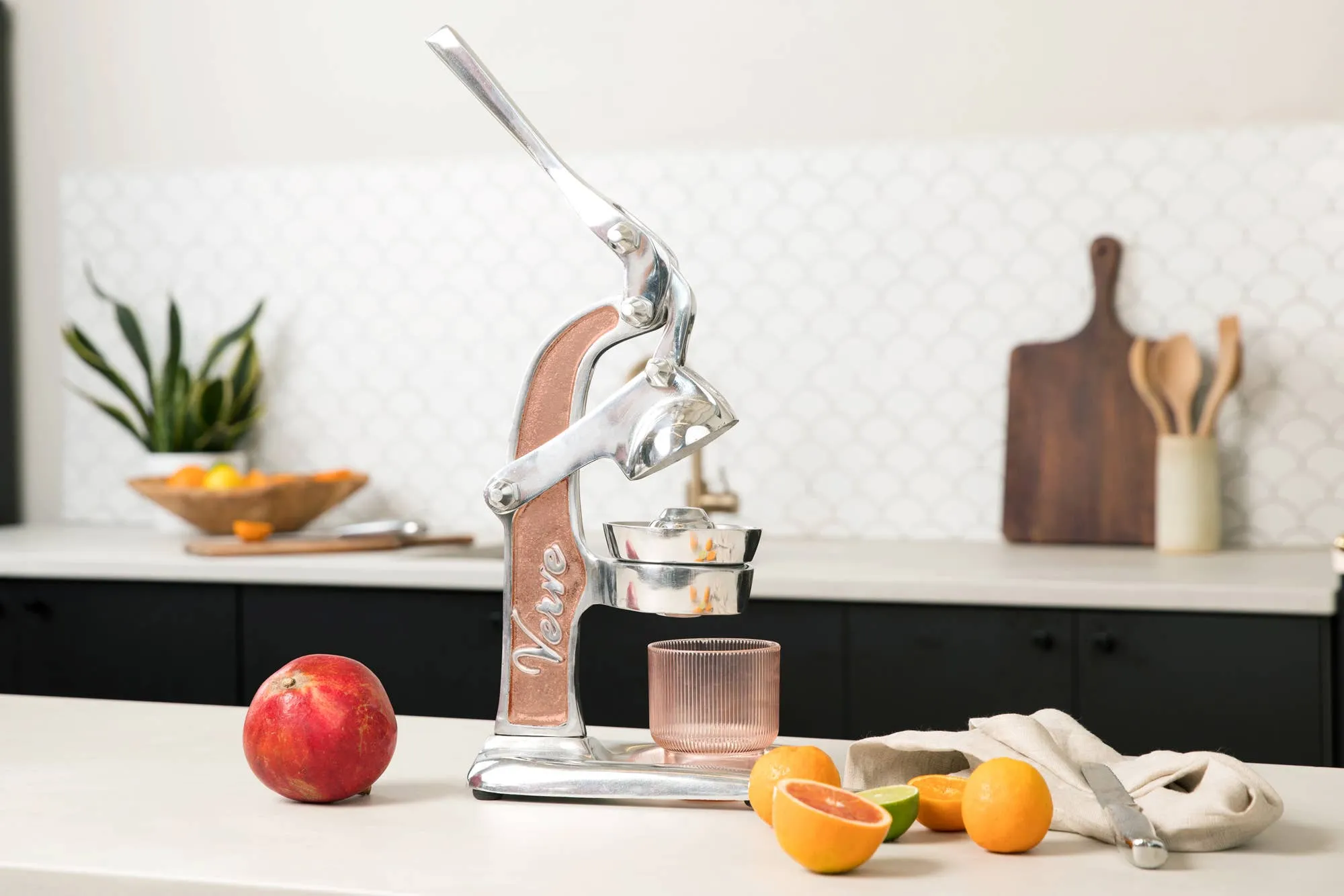 Cast Aluminum Citrus Press with Recipe Booklet