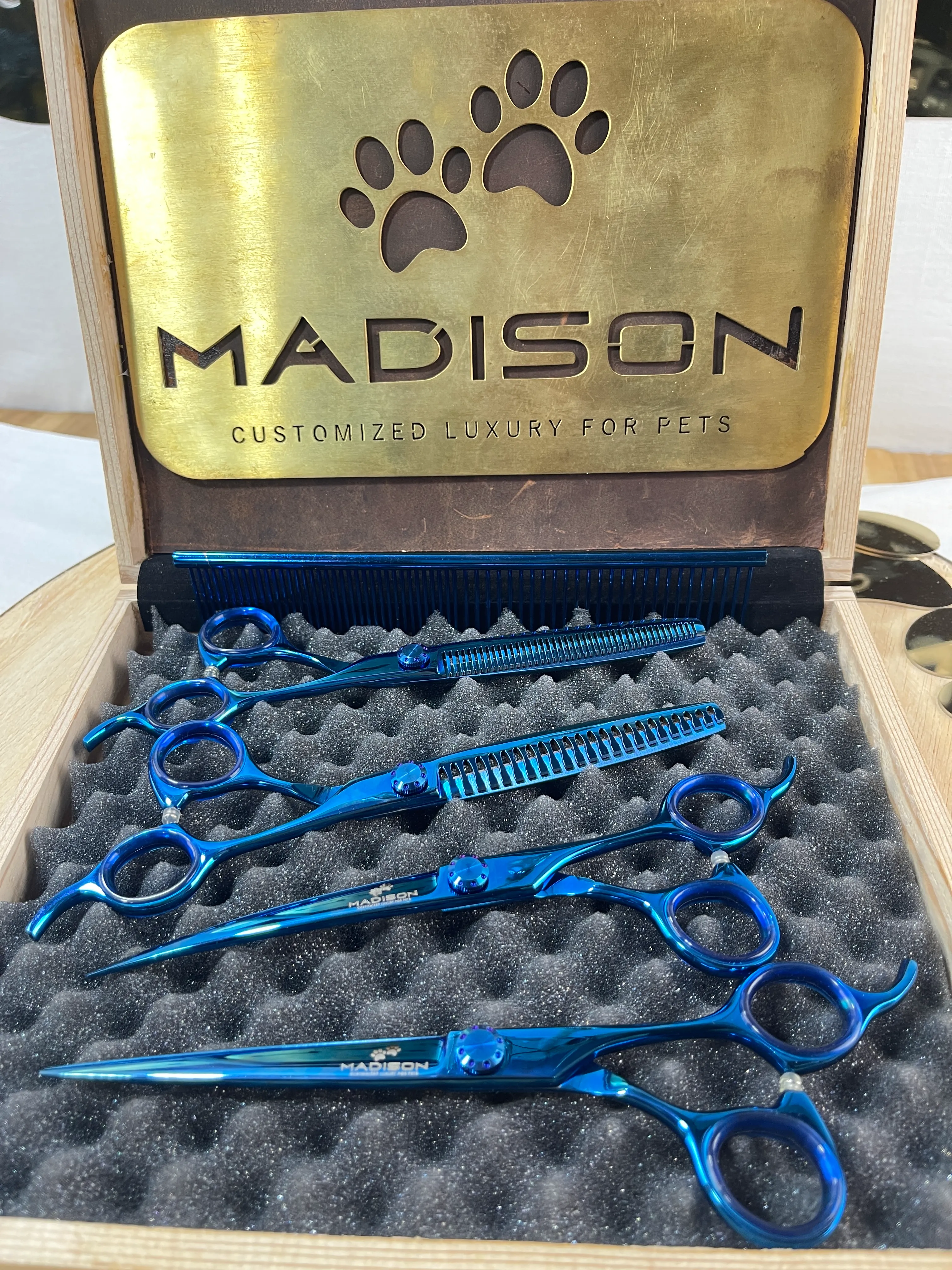 Dog and Cat Blue Grooming Scissors Kit