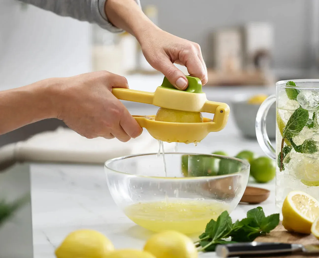 Dual Action Citrus Press