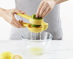 Dual Action Citrus Press