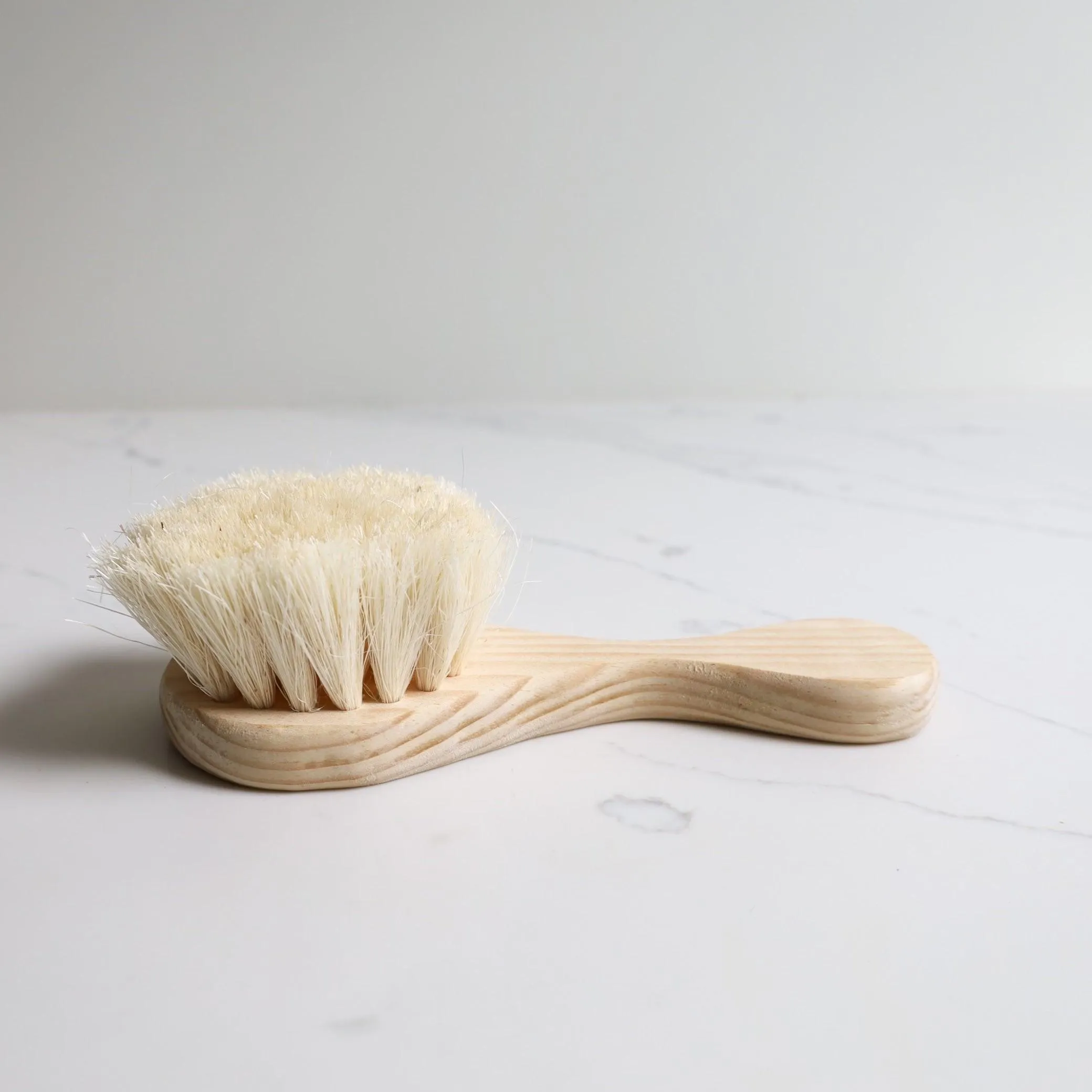 Handmade Agave Dry Brush