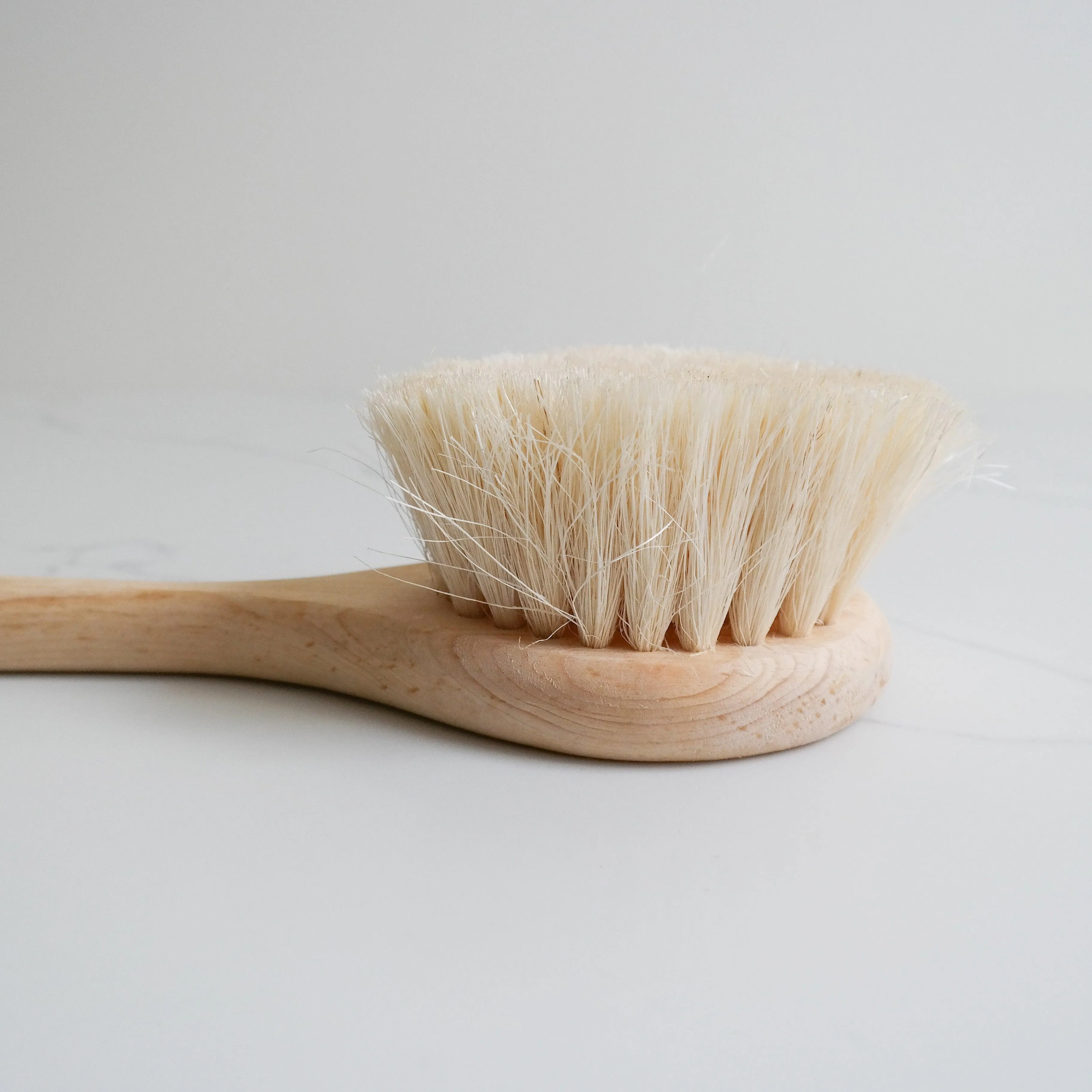 Handmade Agave Dry Brush