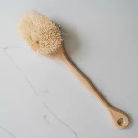 Handmade Agave Dry Brush