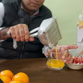 Manual Fruit Squeezer