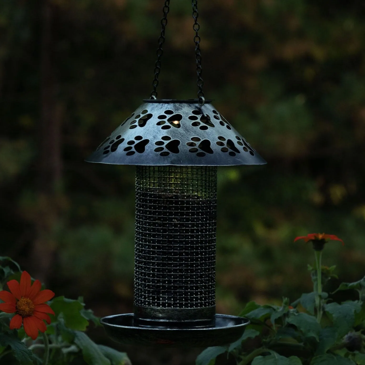 Paw Print Solar Hanging Bird Feeder