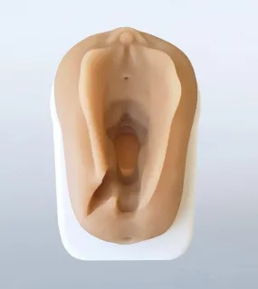 Perineum Injury Suturing Model