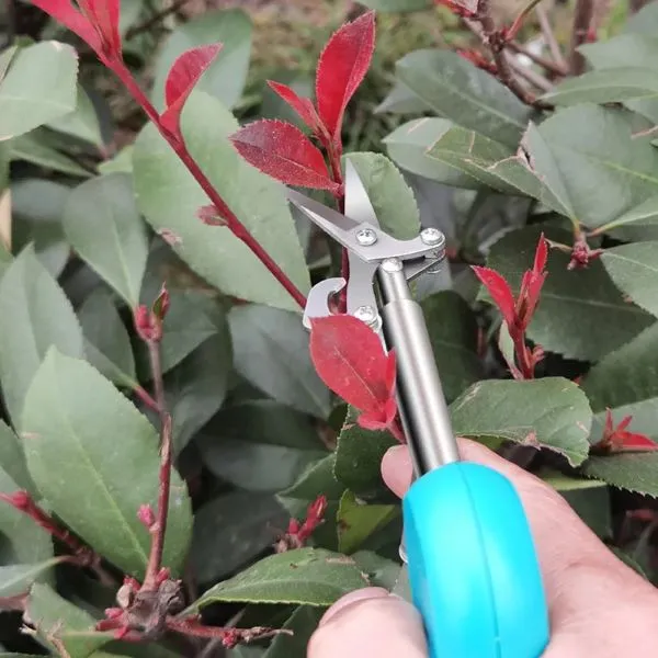 Precision Pruning Scissors