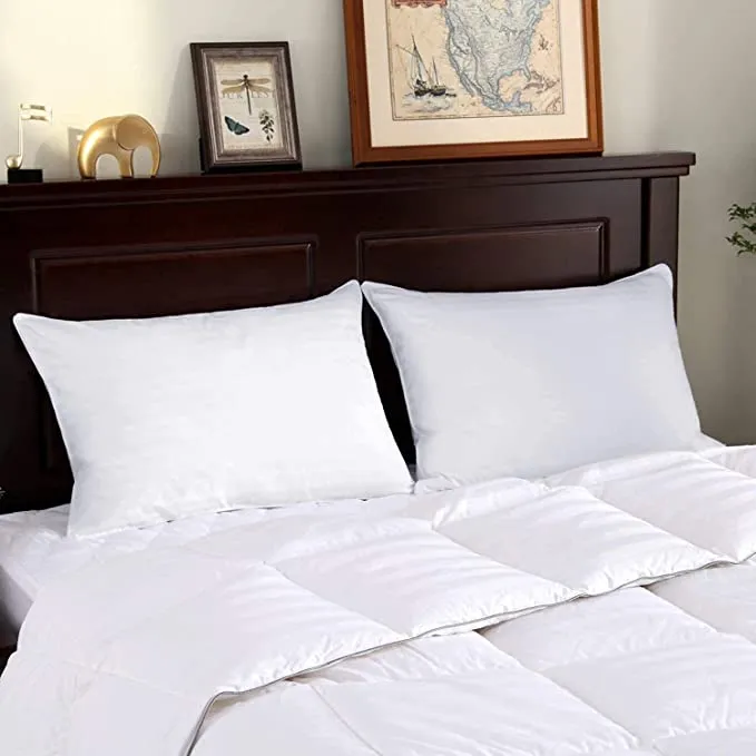 SAFARI Standard Bed Pillow (Size: 45x70 cm, Set Of 2, White)